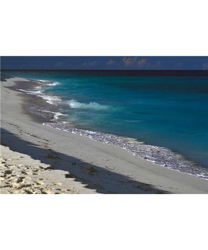 WorldTrip Calmy Playa