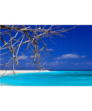 WorldTrip Seychellen In Blue
