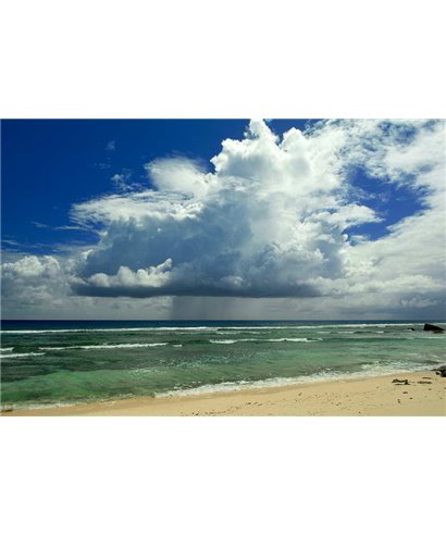 WorldTrip White Clouds Over Beach