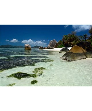 WorldTrip Beach And Rocks