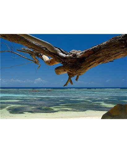 WorldTrip Sea View