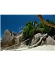 WorldTrip Rochers Sur La Plage