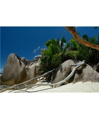 WorldTrip Rocas En La Playa