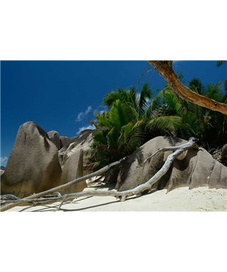 WorldTrip Rocks On The Beach