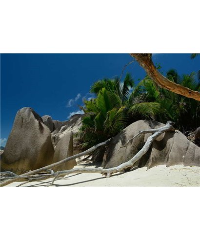 WorldTrip Rocks On The Beach