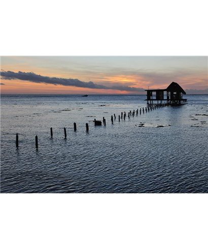 WorldTrip Agua Bungalow