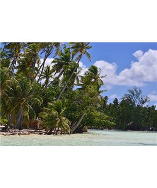 WorldTrip Playas De Tahití