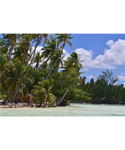 WorldTrip Plages De Tahiti
