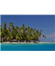WorldTrip Paumes De Tahiti