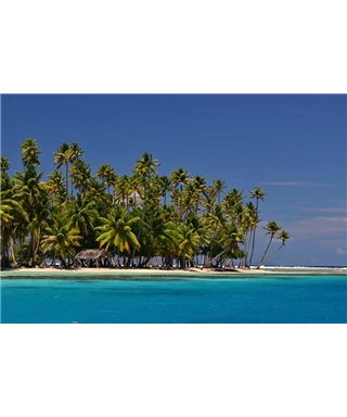 WorldTrip Palms Of Tahiti