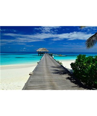 WorldTrip Way To Paradise