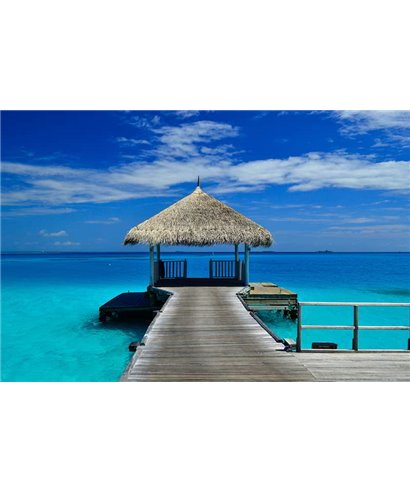 WorldTrip Trouver Votre Chemin