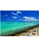 WorldTrip Tropical Beach