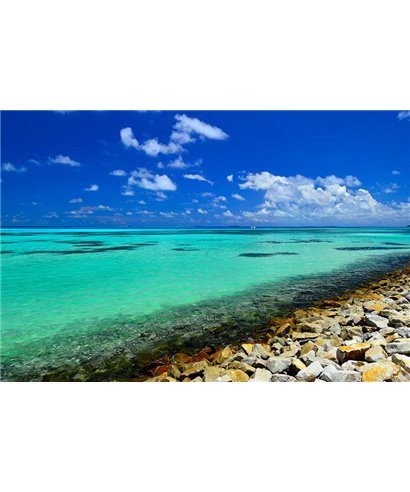 WorldTrip Tropical Beach