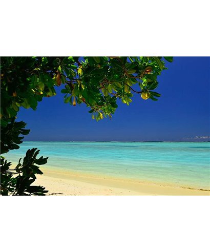 WorldTrip Céleste Sandstrand