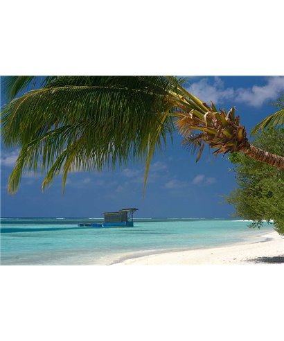 WorldTrip Plage Calme