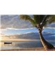 WorldTrip Palmier Sur La Plage