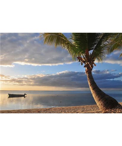 WorldTrip Palmier Sur La Plage