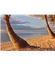 WorldTrip Palm Tree Trunks