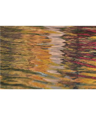 WorldTrip Colorful Mauritius