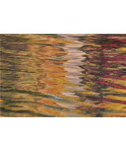 WorldTrip Colorful Mauritius