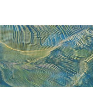 WorldTrip Palm Tree Mauritus