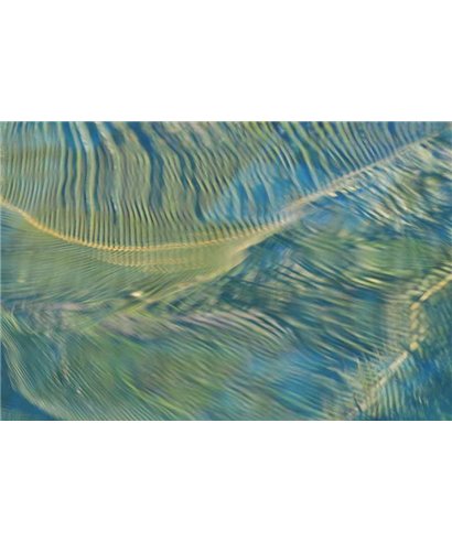 WorldTrip Palmier Île Maurice