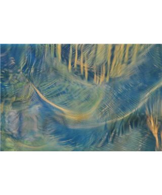 WorldTrip Palm Tree Reflection