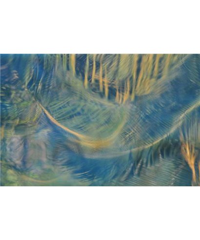 WorldTrip Palm Tree Reflection