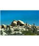 WorldTrip Cactus Paysage