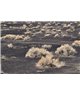 WorldTrip Desert Landscape