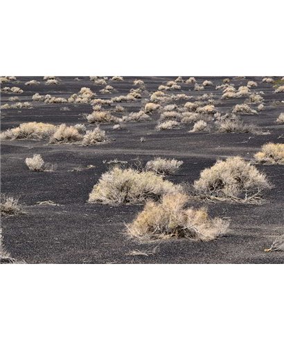 WorldTrip Desert Landscape