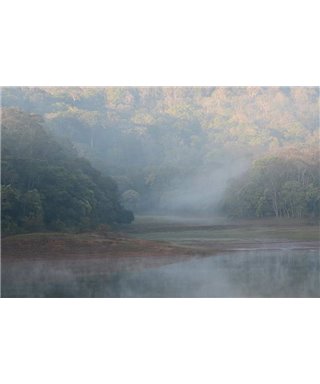 WorldTrip Paysage Brumeux