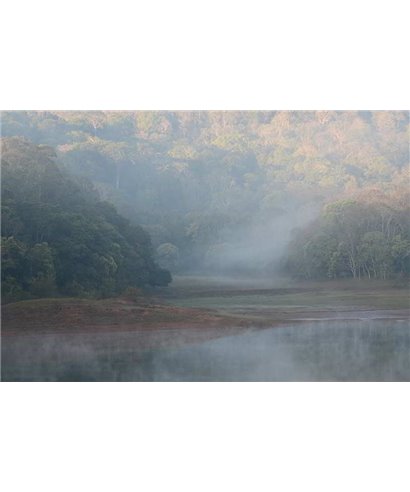 WorldTrip Brumoso Paisaje