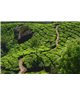 WorldTrip Plantation De Thé