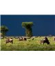 WorldTrip Búfalos Y Cebras
