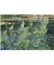 WorldTrip Lac Vert