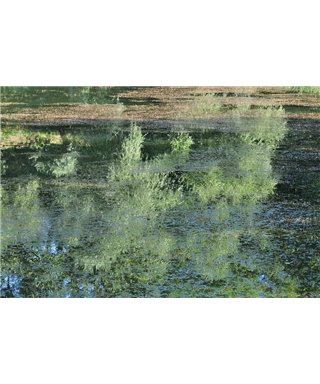 WorldTrip Green Lake