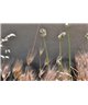 WorldTrip Fleurs Et Les Herbes