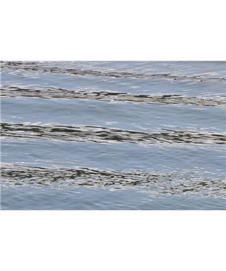 WorldTrip Sea Surface