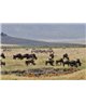 WorldTrip And Gnus Zebras