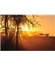 WorldTrip Puesta De Sol Tanzania