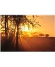 WorldTrip Sunset Tanzania
