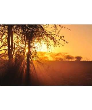 WorldTrip Sunset Tansania
