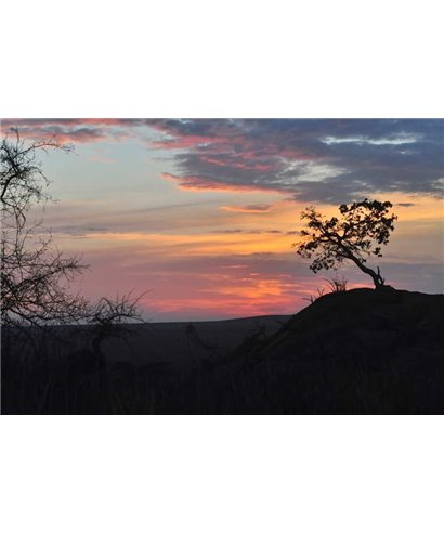WorldTrip Sunset In The Bush