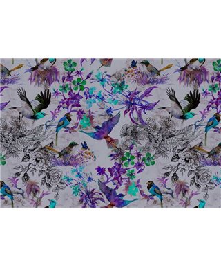 Funky Birds 2