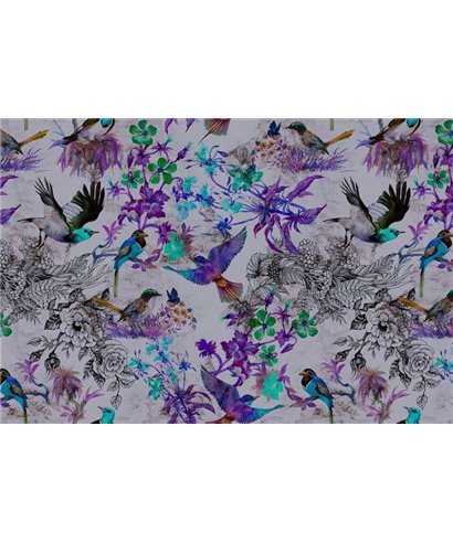 Funky Birds 2