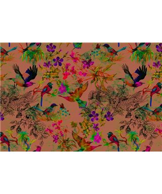 Funky Birds 3