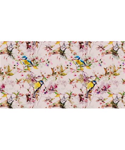 Les oiseaux chanteurs 2