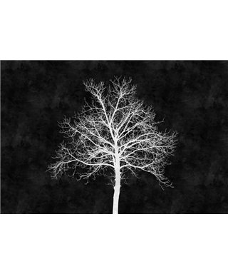 Blackboard 2